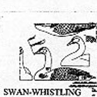 SWAN WSTLNG 15