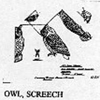 OWL/SCREECH 513
