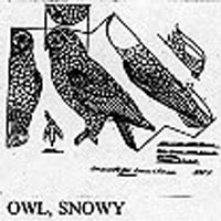 OWL/SNOWY 512B