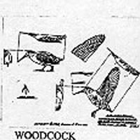 WOODCOCK/WALK 376