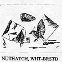 NUTHATCH WHITE 549