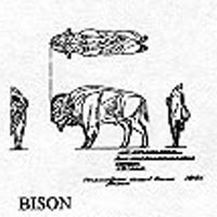 BISON/STAND 1213X