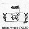 DEER/WHITE-TAIL 1255