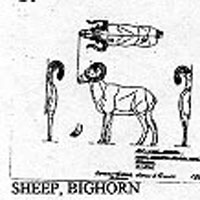 SHEEP/BGHORN 1200
