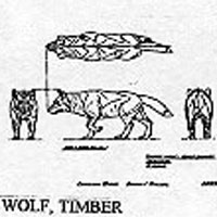 WOLF/TIMBER 1259X