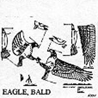 EAGLE BALD MATE 600