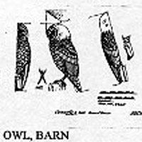 BARN OWL STAND 535