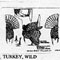 WILD TURKEY 1/2 448
