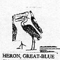 HERON BLUE STND 533C