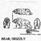 GRIZZLY BEAR 9