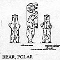 POLAR BEAR 11