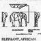 AFRICA ELEPHANT 1274