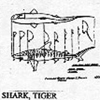SHARK/TIGER 27