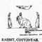 RABBIT/COTTONTL 1241