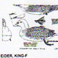 @^EIDER/KING FULL