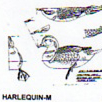 @^HARLEQUIN FULL