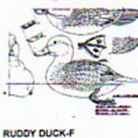 @^RUDDY DUCK FULL