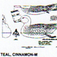 @^TEAL/CINNAMON FULL