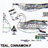 @^TEAL/CINNAMON FULL