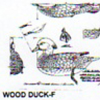 @^WOOD DUCK FULL