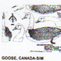 @^GOOSE/CANADA FULL