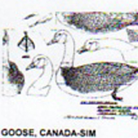 @^GOOSE/CANADA 1/2