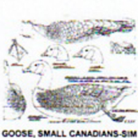 @^GOOSE/SML CANADIANS FULL