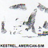 @^KESTREL/AMERICAN FULL