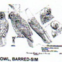@^OWL/BARRED FULL