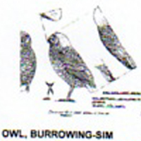 @^OWL/BURROWING FULL