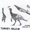 @^TURKEY/WILD 1/2