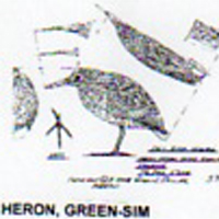 @^HERON/GREEN FULL