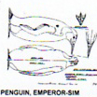 @^PENGUIN/EMPEROR 1/3