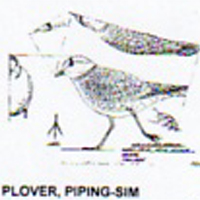 @^PLOVER/PIPING FULL