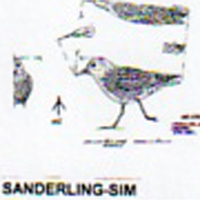 @^SANDERLING FULL