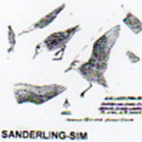 @^SANDERLING FULL