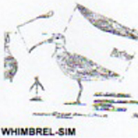 @^WHIMBREL FULL