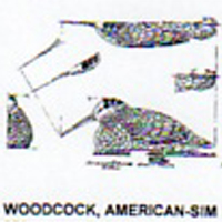 @^WOODCOCK/AMERICAN FULL