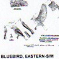 @^BLUEBIRD/EASTERN FULL