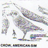 @^CROW/AMERICAN FULL