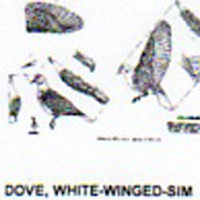 @^DOVE/WHITEWNGD FULL