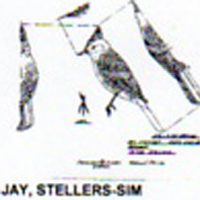 @^JAY/STELLERS FULL