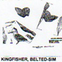 @^KINGFISHER/BELTED FULL