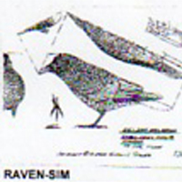 @^RAVEN FULL