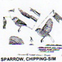 @^SPARROW/CHIPPING FULL