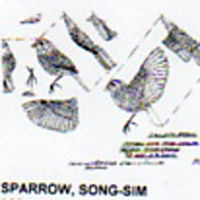 @^SPARROW/SONG