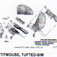 @^TITMOUSE/TUFTED FULL