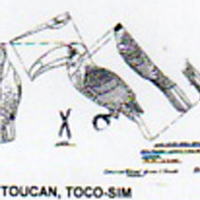 @^TOUCAN/TOCO 1/2