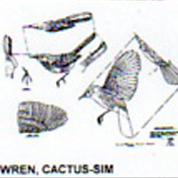 @^WREN/CACTUS FULL