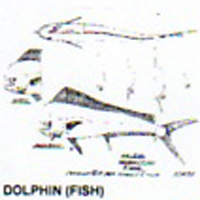 @^DOLPHIN/FISH 16